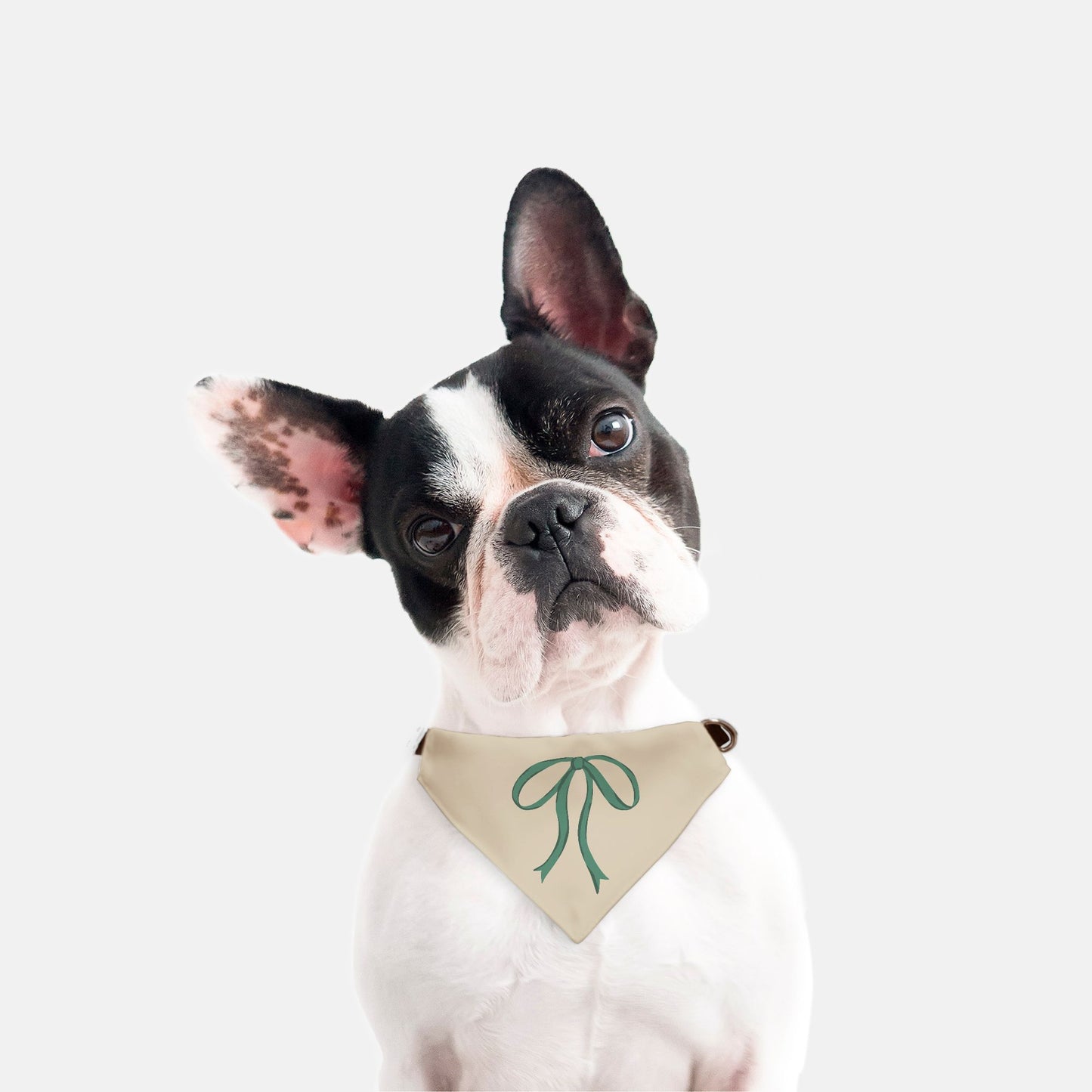 Single Hunter Green Bow Collar Bandana