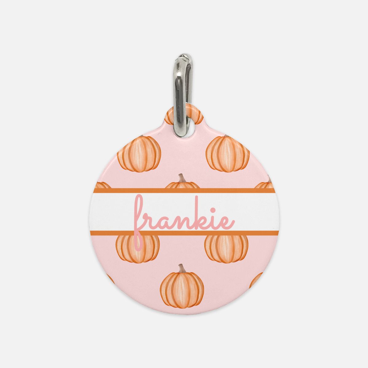 Pumpkin Pastel Party Custom Round Metal Pet Tag