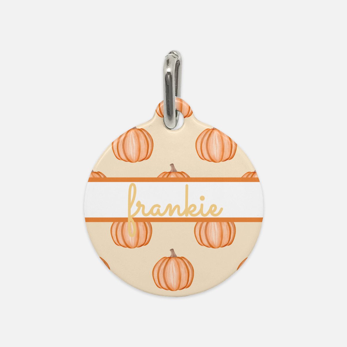 Pumpkin Pastel Party Custom Round Metal Pet Tag