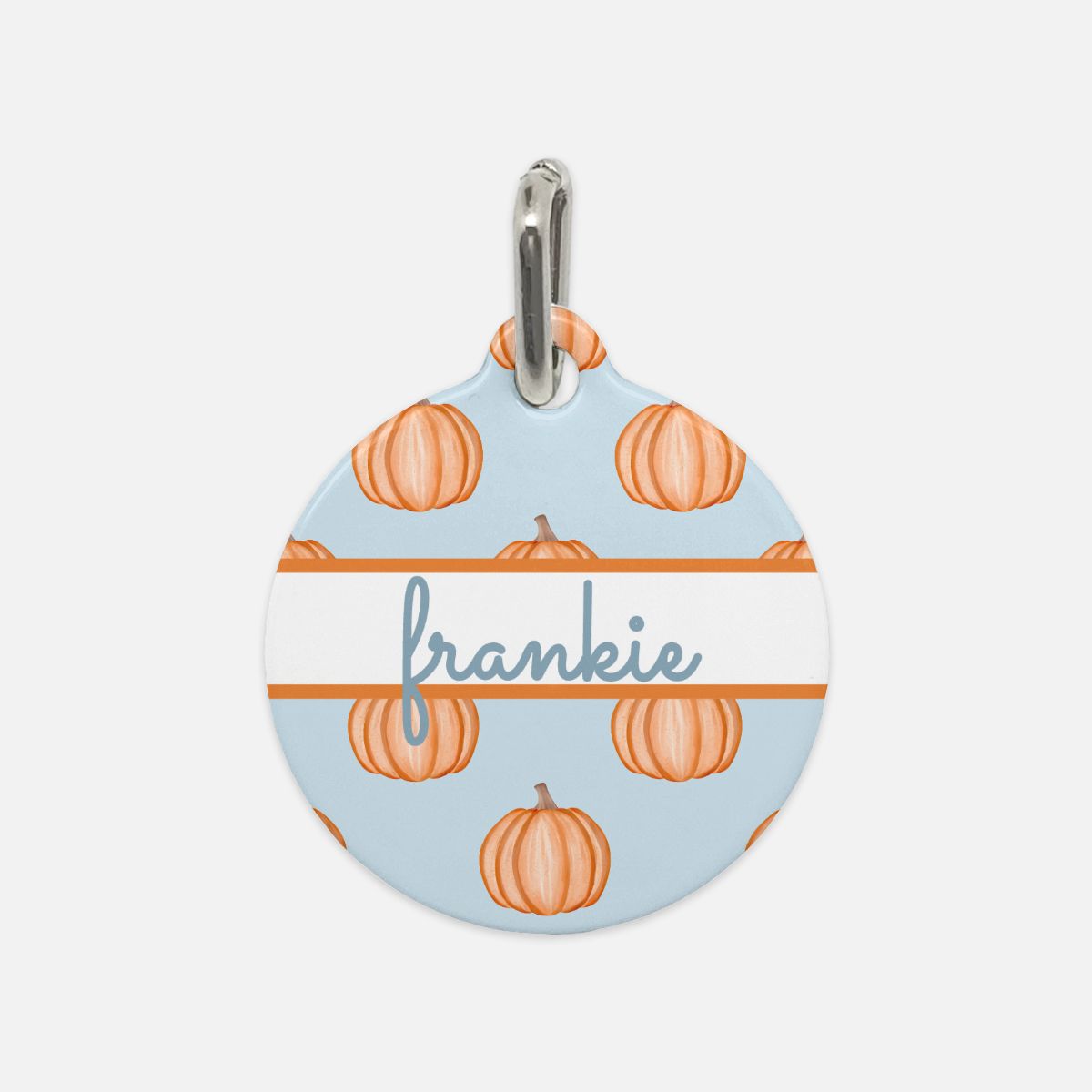 Pumpkin Pastel Party Custom Round Metal Pet Tag