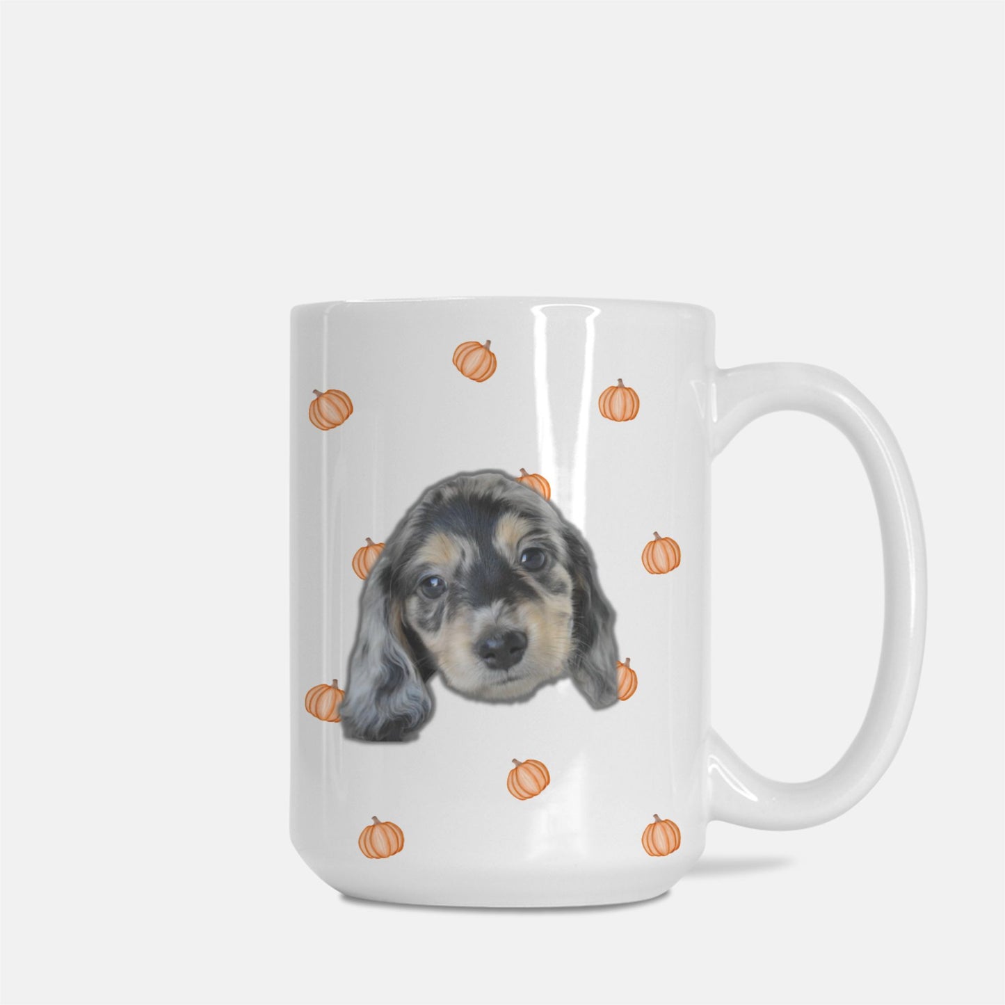 Petite Pumpkin Party White Glossy Custom Coffee Mug