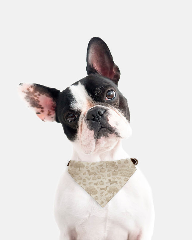 On Collar Dog Bandana  - Autumn Dachshund Toile