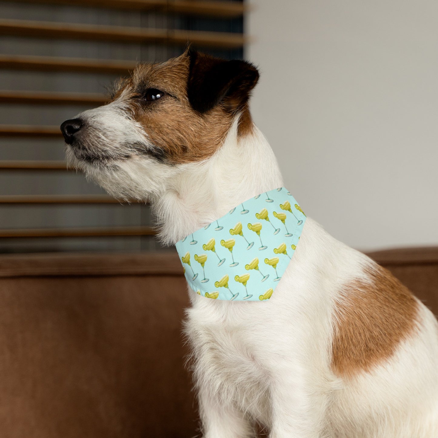 Margaritas Collar Bandana