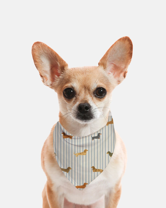 Tie On Dog Bandana -  Long-Haired & Short-Haired Dachshund Mix Print