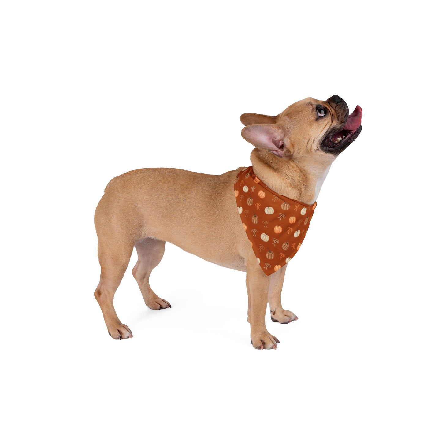 Hot Doggie Dog Bandana