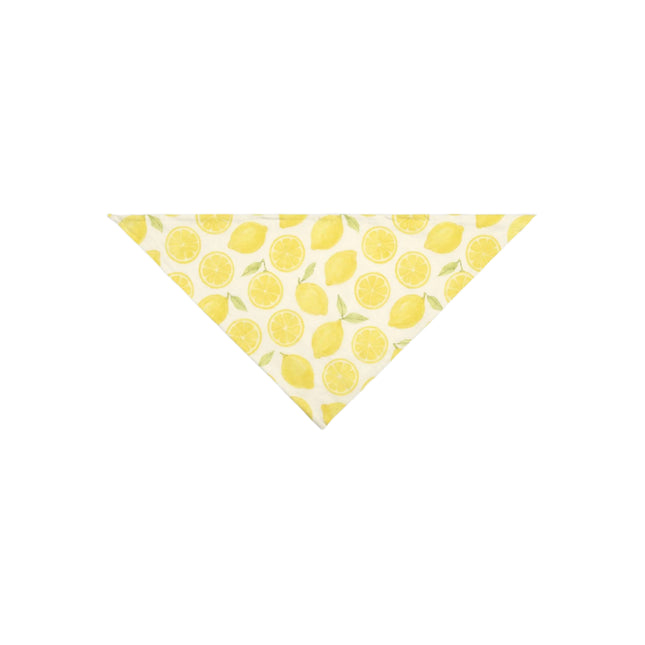 Lemon Small Breed Pet Bandana