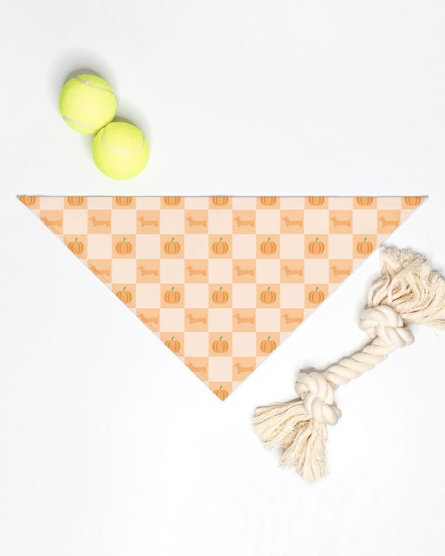 Tie On Dog Bandana - Pumpkin Patched Dachshunds