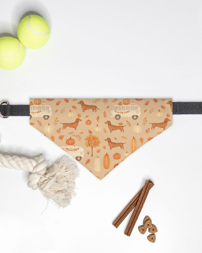 On Collar Dog Bandana  - Dachshund Harvest Road Trip