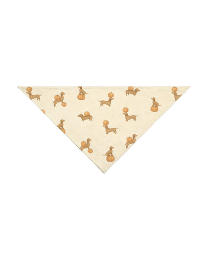 Triangular bandana with dachshund and pumpkin pattern on a light gray background