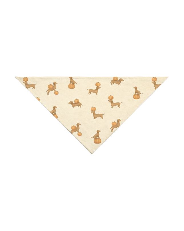 Triangular bandana with dachshund and pumpkin pattern on a light gray background