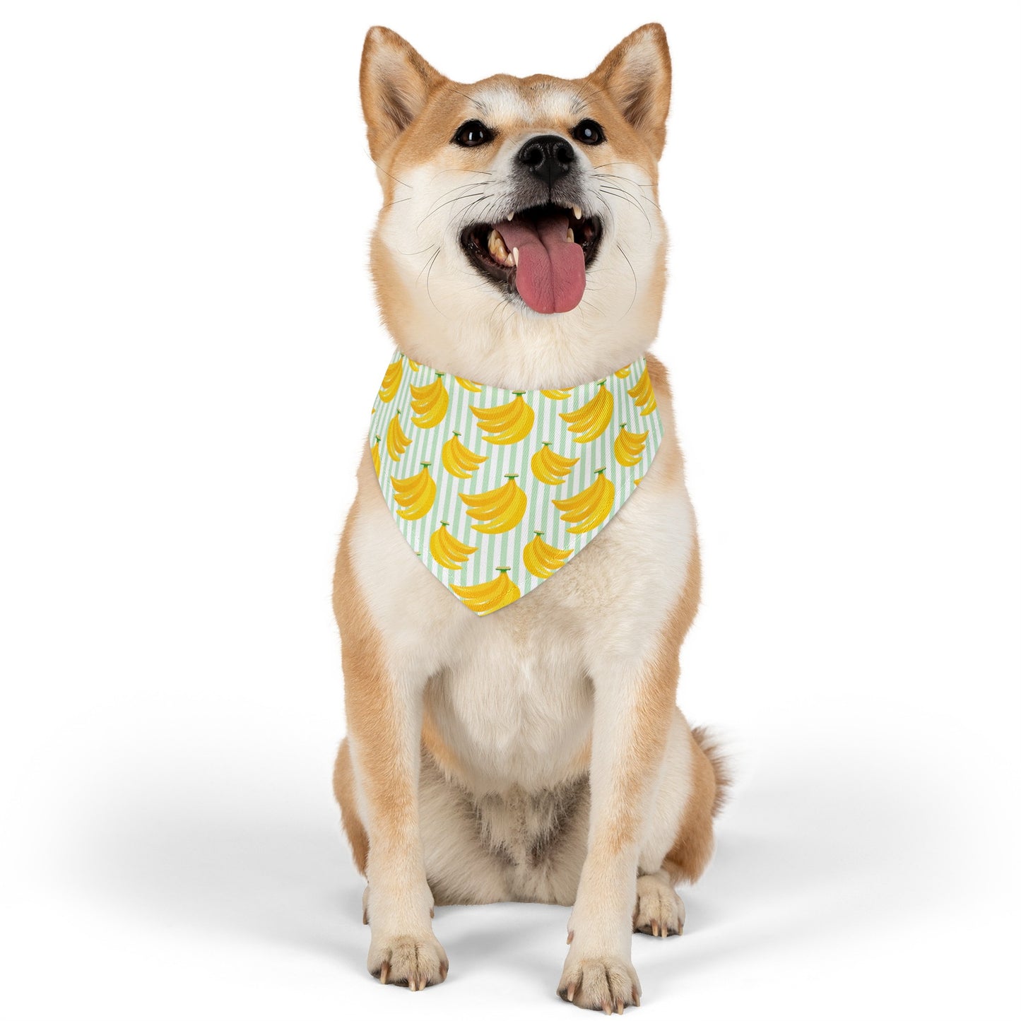 Go Bananas Collar Pet Bandana