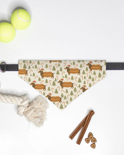 On Collar Dog Bandana  - Dachshund Through the Bun