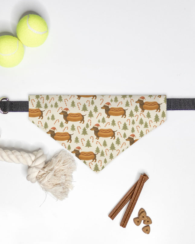On Collar Dog Bandana  - Dachshund Through the Bun