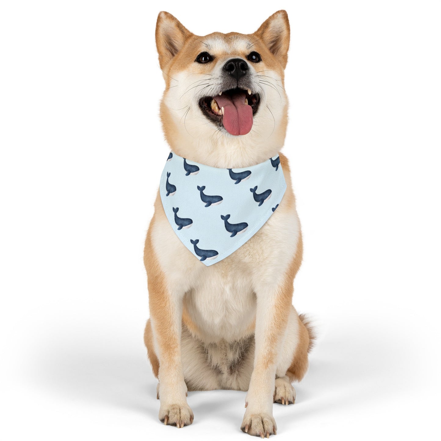 Whale Watching Collar Bandana