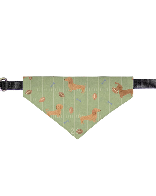On Collar Dog Bandana  -  Touchdown Dachshunds
