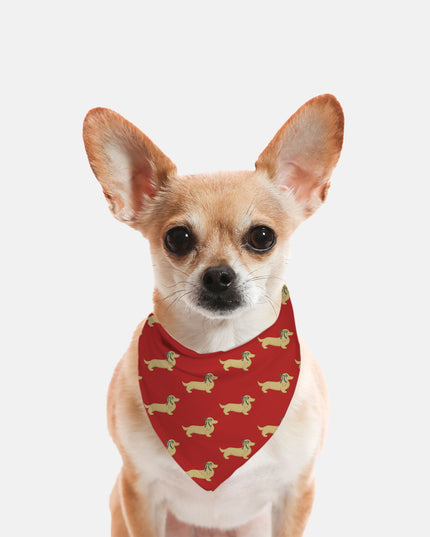 Dog Bandana - Dach of Gold Long-Haired Edition