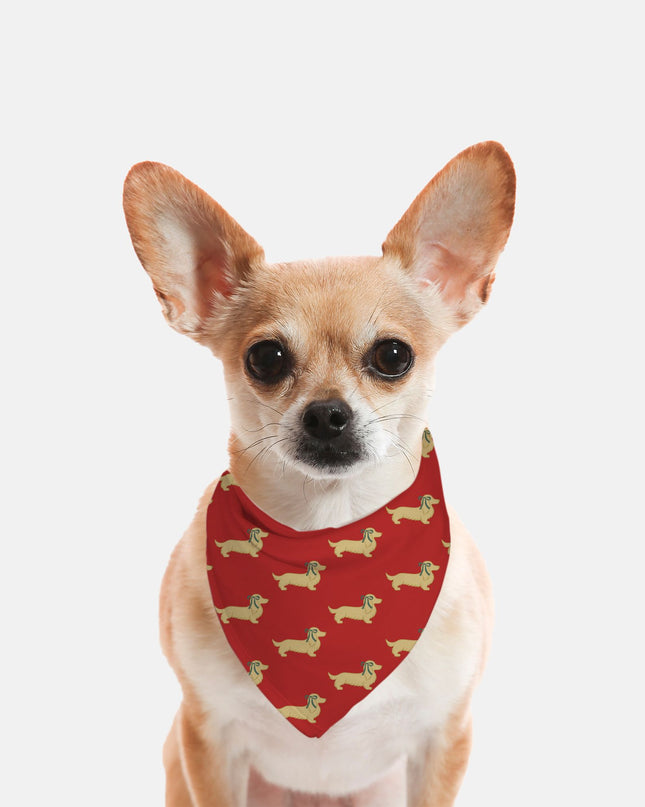 Dog Bandana - Dach of Gold Long-Haired Edition