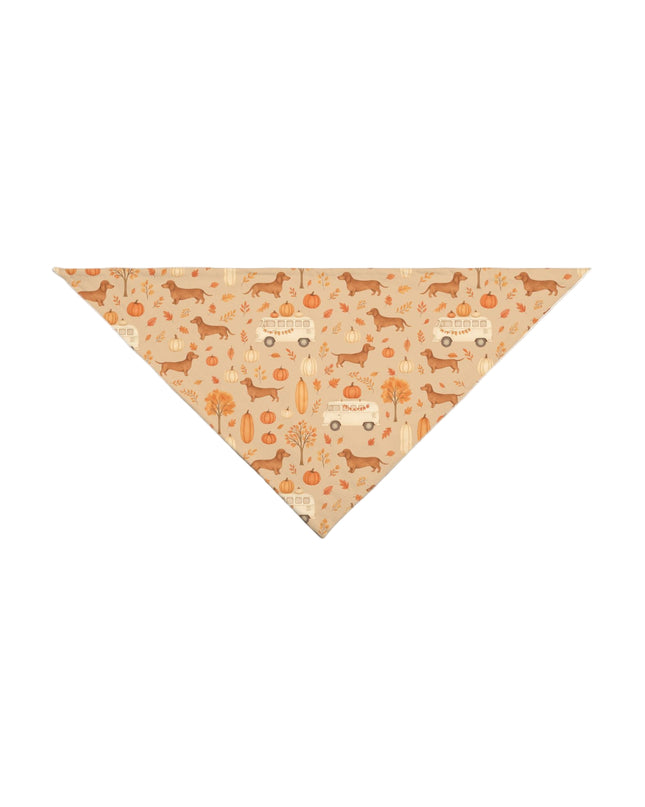 Dog bandana with dachshund Fall pumpkin pattern on a rusty orange background.