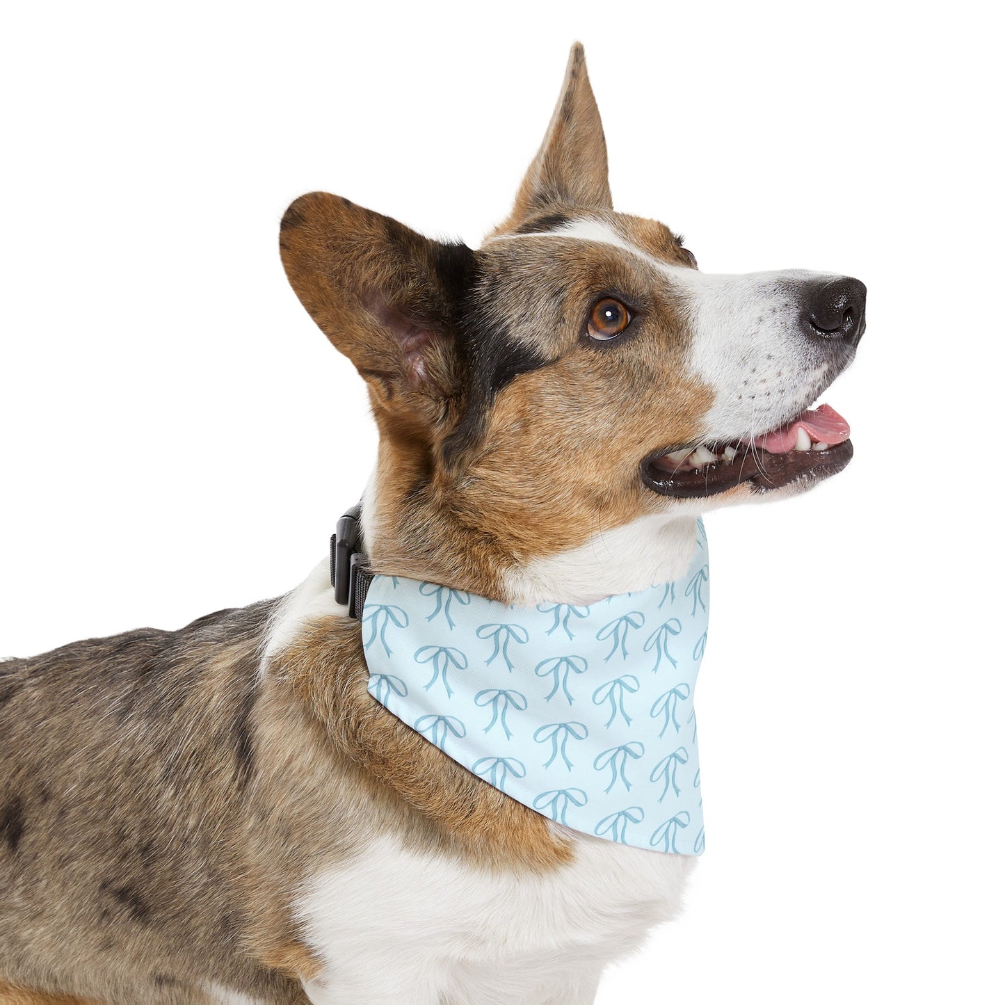 Little Bow Blue Dog Collar Bandana