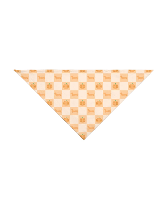 Pumpkin & Dachshund themed bandana from my doxie depot
