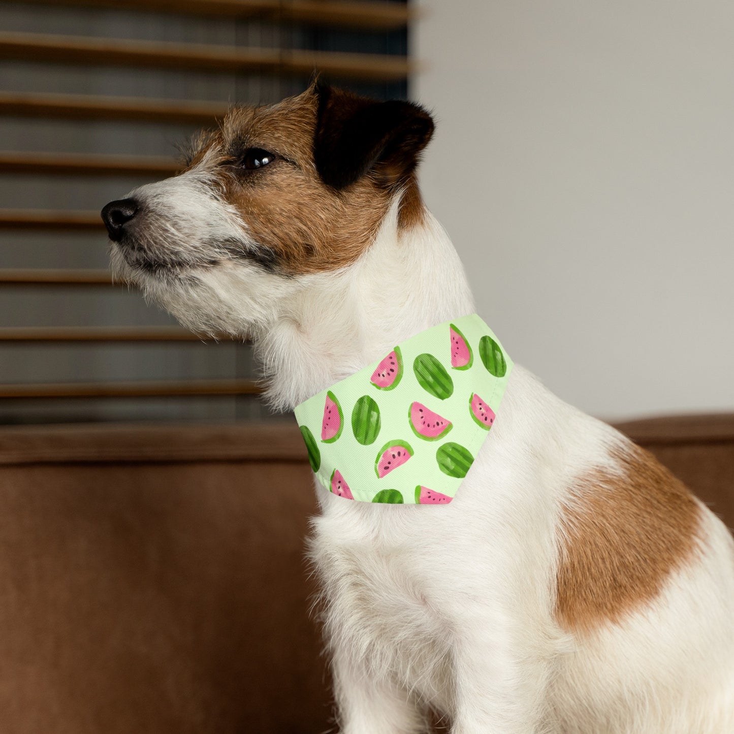 Watermelon Collar Bandana