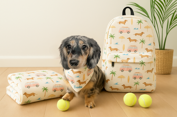 <h3><em>Beach Cruisin Wiener Dog Collection </em></h3><h6><strong>Official merch of Hot Dog Doxie Summer</strong></h6>