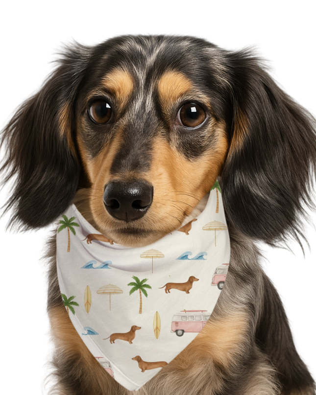 Long-haired dachshund modeling beach-themed tie-on bandana with wiener dogs, palm trees, waves, and surf vans