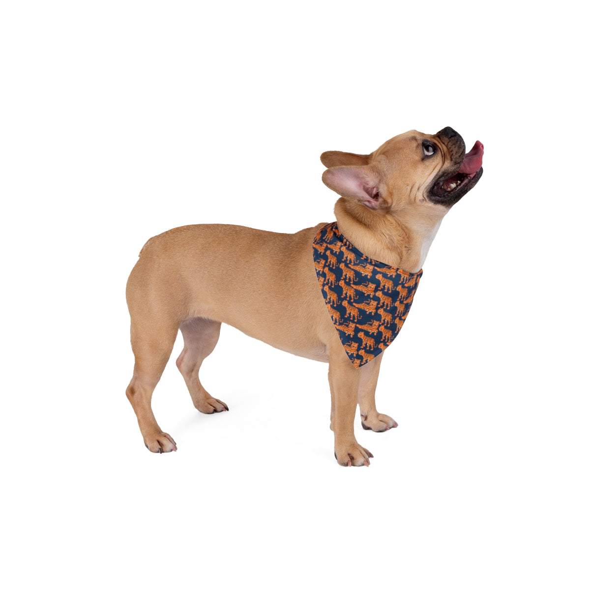 Tiger Time Dog Bandana