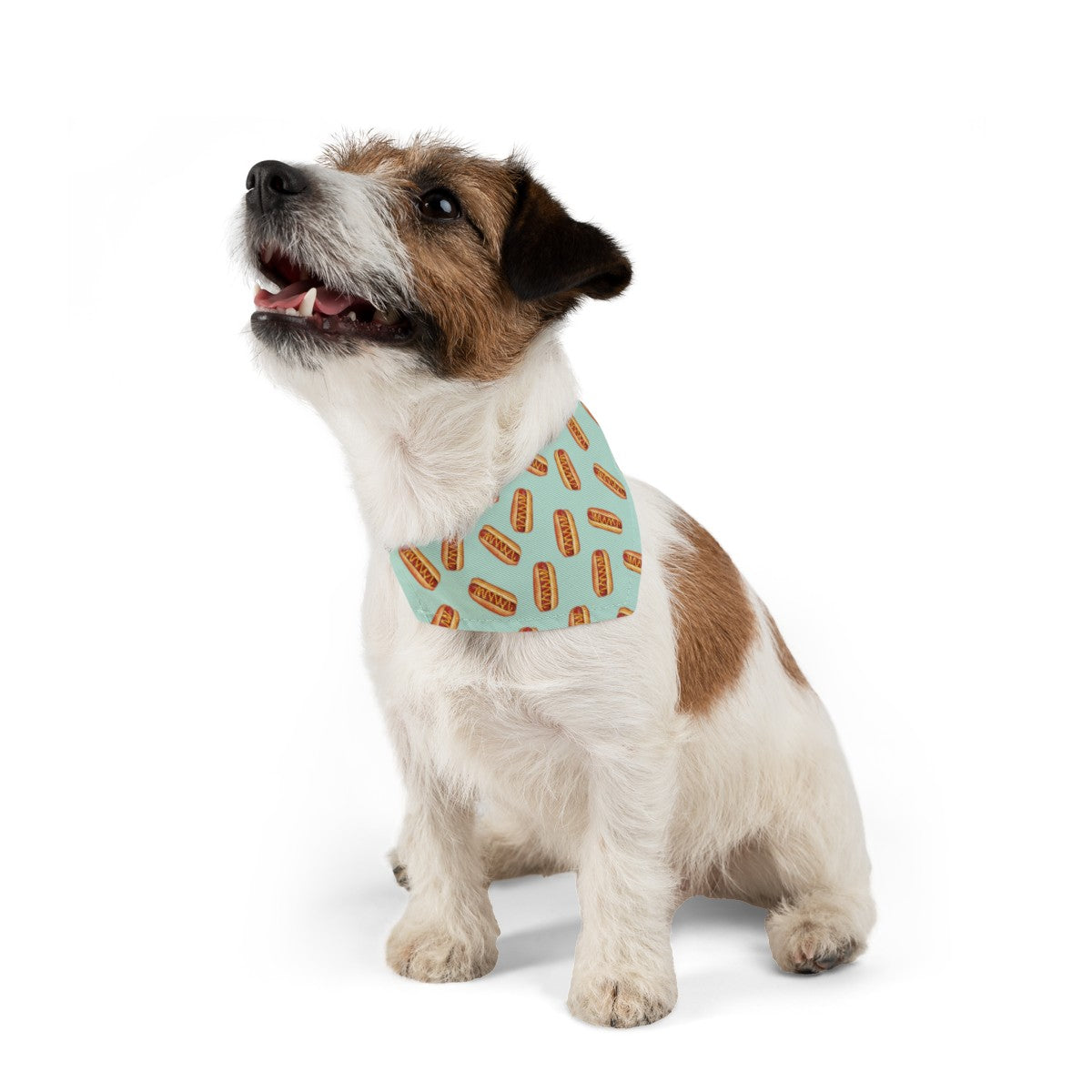 Hot Doggie Dog Collar Bandana