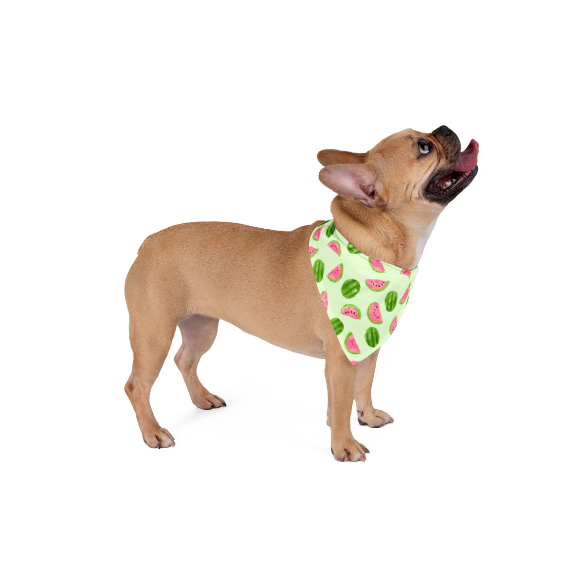 Melon Watermelon Dog Bandana