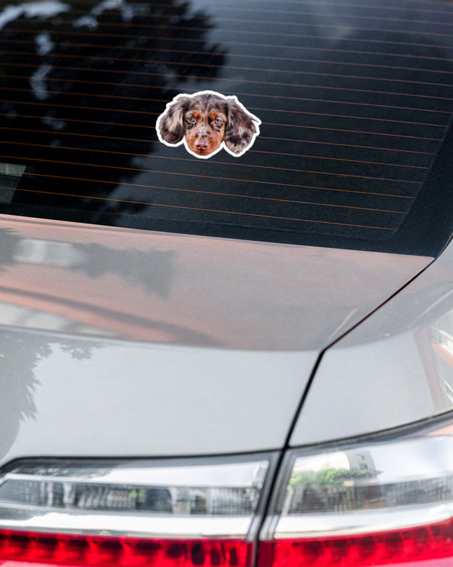 Custom Kiss-Cut Stickers