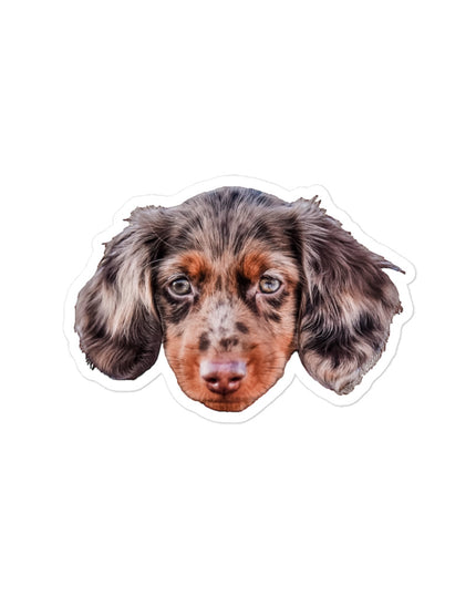 Custom Kiss-Cut Stickers