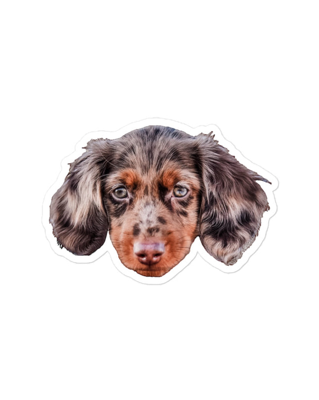 Custom Kiss-Cut Stickers