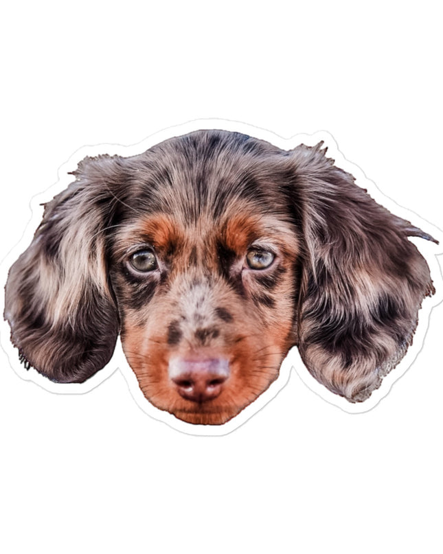 Custom Kiss-Cut Stickers