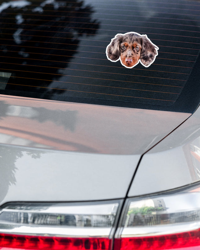 Custom Kiss-Cut Stickers
